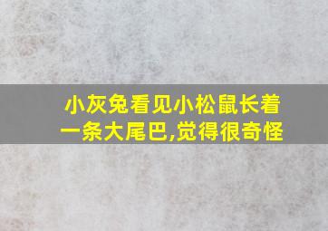 小灰兔看见小松鼠长着一条大尾巴,觉得很奇怪