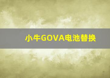 小牛GOVA电池替换