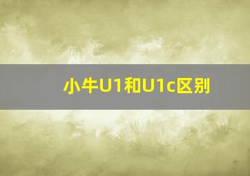 小牛U1和U1c区别