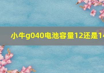 小牛g040电池容量12还是14