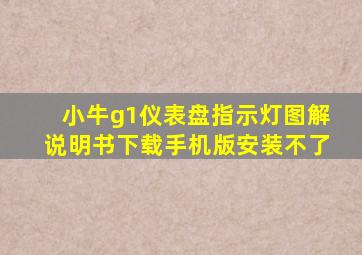 小牛g1仪表盘指示灯图解说明书下载手机版安装不了