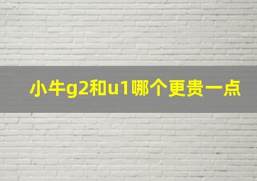 小牛g2和u1哪个更贵一点