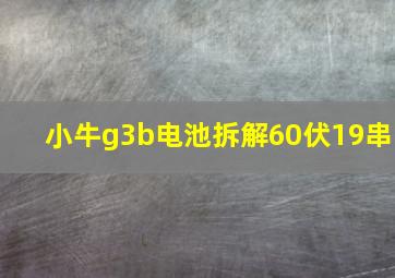 小牛g3b电池拆解60伏19串