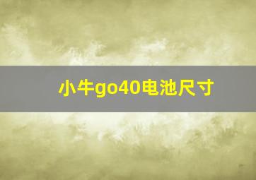 小牛go40电池尺寸