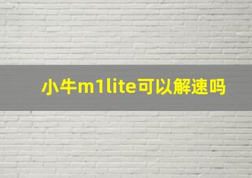 小牛m1lite可以解速吗