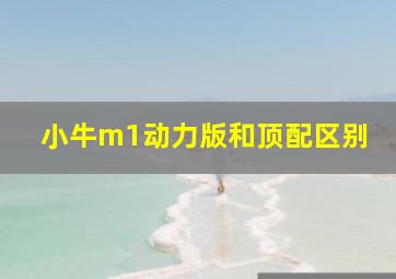 小牛m1动力版和顶配区别