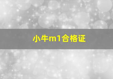 小牛m1合格证