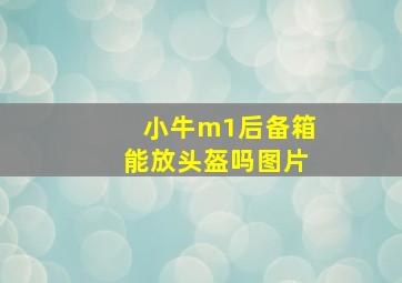 小牛m1后备箱能放头盔吗图片