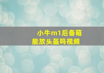 小牛m1后备箱能放头盔吗视频