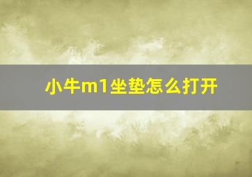 小牛m1坐垫怎么打开