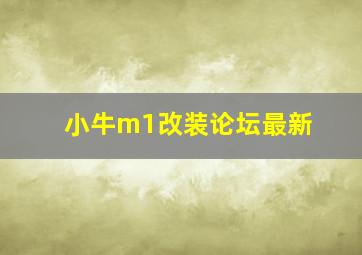 小牛m1改装论坛最新