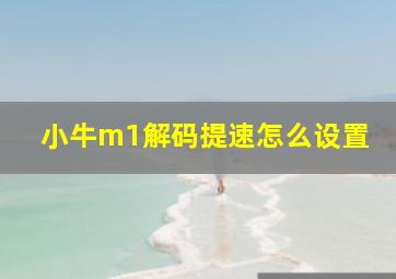 小牛m1解码提速怎么设置