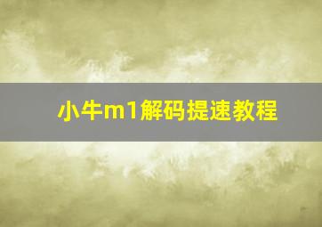 小牛m1解码提速教程