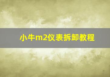 小牛m2仪表拆卸教程