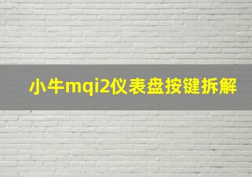 小牛mqi2仪表盘按键拆解