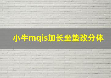 小牛mqis加长坐垫改分体