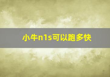 小牛n1s可以跑多快