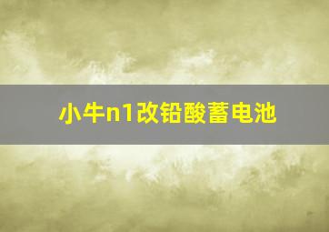 小牛n1改铅酸蓄电池