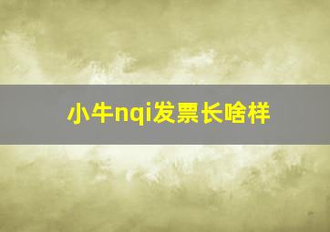 小牛nqi发票长啥样