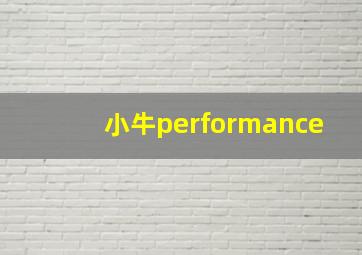 小牛performance