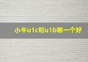 小牛u1c和u1b哪一个好