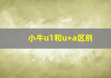 小牛u1和u+a区别