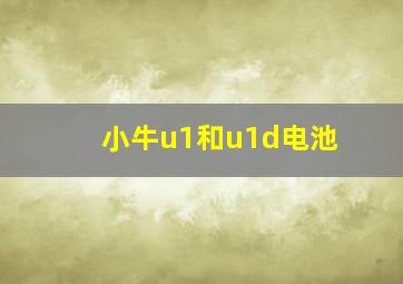 小牛u1和u1d电池