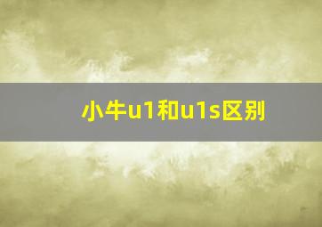 小牛u1和u1s区别