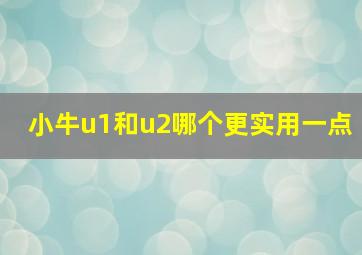 小牛u1和u2哪个更实用一点