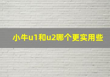 小牛u1和u2哪个更实用些