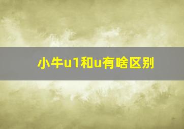 小牛u1和u有啥区别