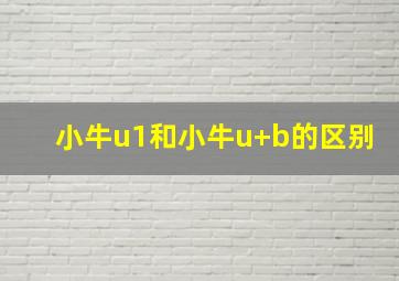 小牛u1和小牛u+b的区别