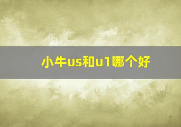 小牛us和u1哪个好