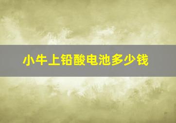 小牛上铅酸电池多少钱