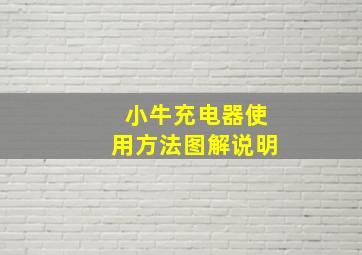 小牛充电器使用方法图解说明