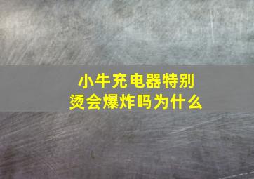 小牛充电器特别烫会爆炸吗为什么