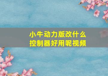 小牛动力版改什么控制器好用呢视频