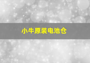 小牛原装电池仓