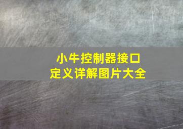 小牛控制器接口定义详解图片大全