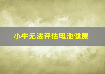 小牛无法评估电池健康