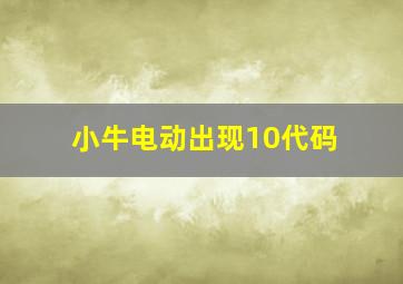 小牛电动出现10代码