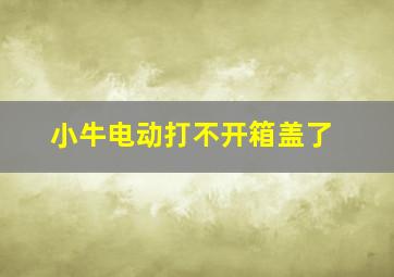 小牛电动打不开箱盖了