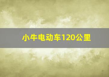 小牛电动车120公里