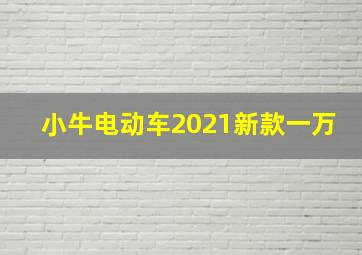 小牛电动车2021新款一万