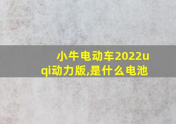 小牛电动车2022uqi动力版,是什么电池