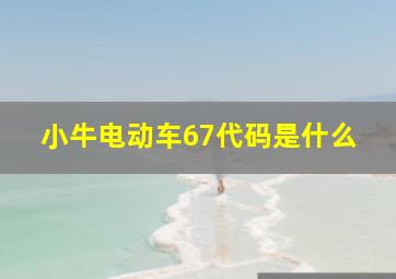 小牛电动车67代码是什么