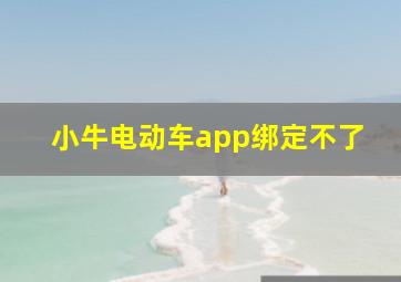 小牛电动车app绑定不了