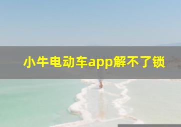 小牛电动车app解不了锁