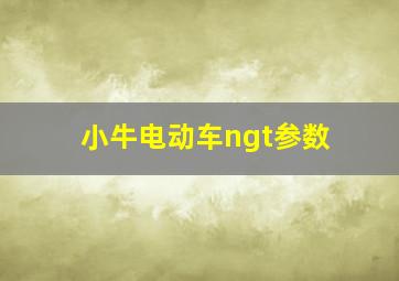 小牛电动车ngt参数