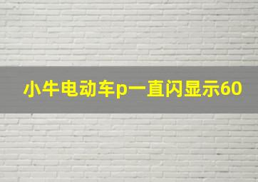 小牛电动车p一直闪显示60